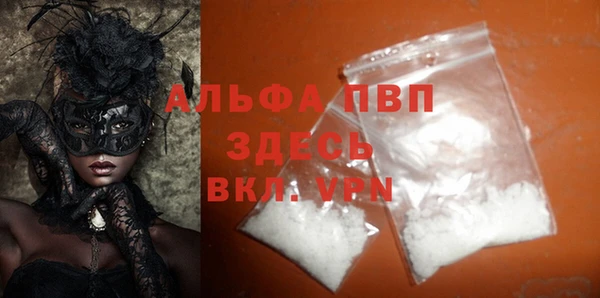 прущие грибы Новодвинск