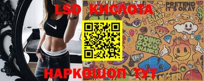 стафф Бийск