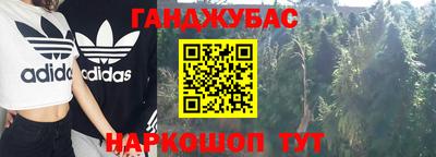 стафф Бийск