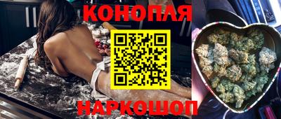стафф Бийск