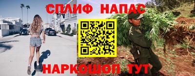 стафф Бийск