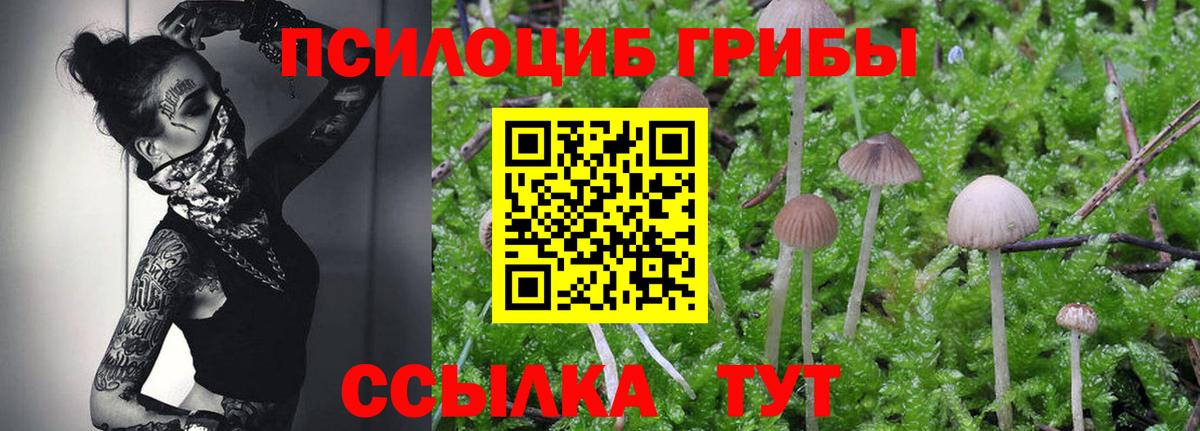 Красноперекопск  Псилоцибиновые грибы Magic Shrooms  магазин    Вход с VPN 